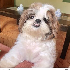 Meet your Posher, Lilly